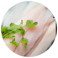 BASA PHI LÊ TƯƠI
